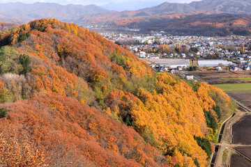 北海道三笠市、達布山展望台から眺めた三笠市街の紅葉【11月】