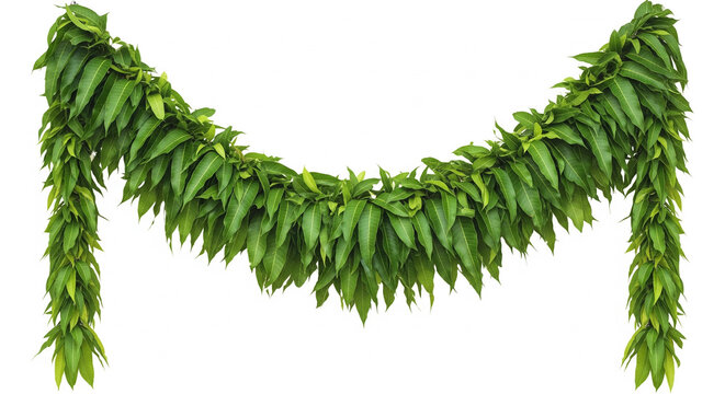 minimal asopalav toran with fresh mango leaves hanging on thread for indian festival and traditional decoration concept