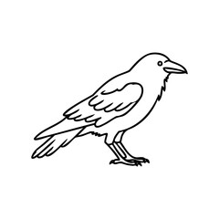 Obraz premium Black and white illustration of a standing raven