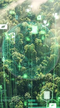 Green forest aerial view and environmental technology concept. Green tech. Ecology. Green transformation. GX. SDGs.