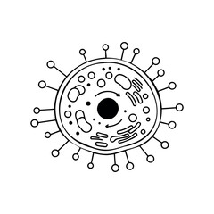 Detailed black and white diagram of a bacterial cell structure with labeled organelles