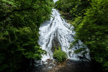 夏の奥日光　湯滝の風景
