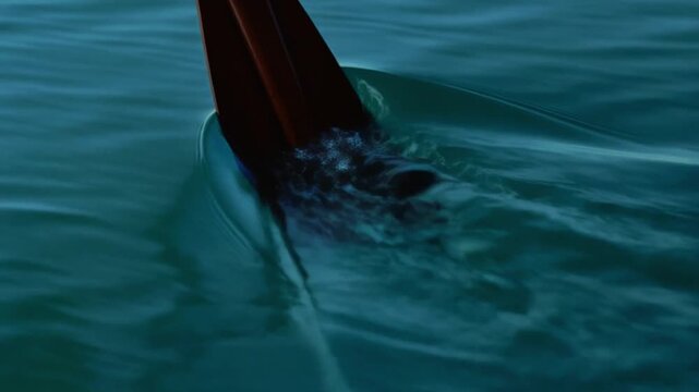 Close-up of oars dipping into clear water, creating ripples