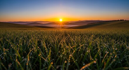 Dew kissed grass reflects the golden sunrise over rolling hills in a tranquil morning