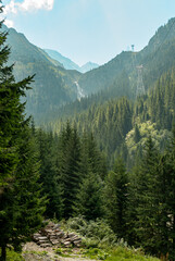 Cable car ascending over lush pine forest in transfagarasan, romania