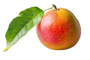 Fototapeta premium A vibrant, ripe mango with a single green leaf, isolated on a transparent background. background removed