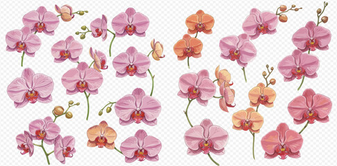 A beautiful collection of hand-painted watercolor pink and orange orchid flowers, buds, and stems.
