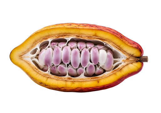 Close-up of a cacao pod sliced in half revealing the pinkish beans inside on a black background