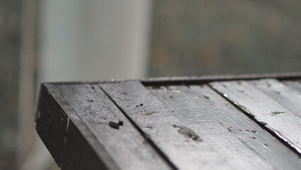 A macro, high-angle, close-up shot of a wooden surface, likely a table or a bench. The wood appears...