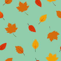 Fototapeta premium Autumn leaves pattern on a soft teal background