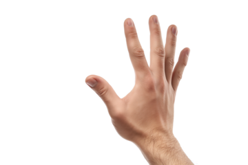 Gesture of Unity: A close-up shot of a raised hand with fingers extended against a clean backdrop, a visual metaphor for agreement, stop, or high five.