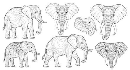 Beautiful elephant outlines with intricate designs perfect for coloring books and creative projects