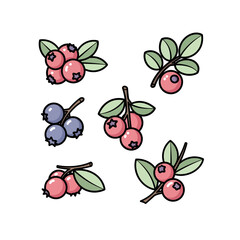 Vector icon set of a fresh green pear, including a whole fruit, a leaf, and a cut slice, symbolizing healthy eating and organic food.