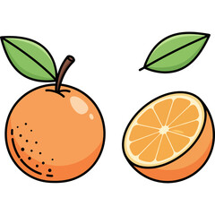 Set of papaya vector illustrations showing a cross-section, a wedge slice, and a pile of edible black seeds.