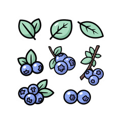 Set of vector blueberry illustrations, ideal for design projects, culinary themes, and healthy eating