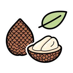 Vector illustration of tropical salak or snake fruit, featuring a whole fruit, a halved section revealing the pulp, and a green leaf