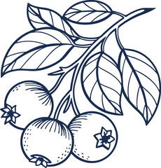 Hand drawn vector illustration of an apple and tree with a seamless floral pattern of leaves and flowers