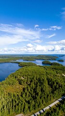 Scenic lakeside forest aerial view