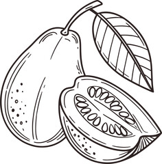 Vector illustration of sweet ripe fruit with a fresh leaf