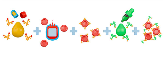 Indirect antiglobulin test process 3d illustration with patient or recipient serum containing alloantibodies mix with donor red blood cells resulting in agglutination.