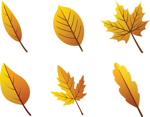 Bundle of 6 Autumn leaves for your artistic work . Vector Illustration.
