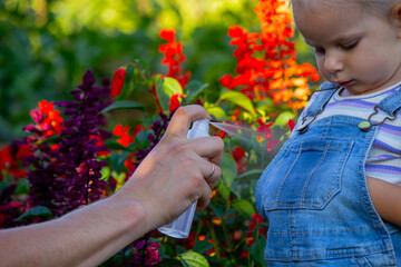 Dad sprays his child with mosquito repellent.