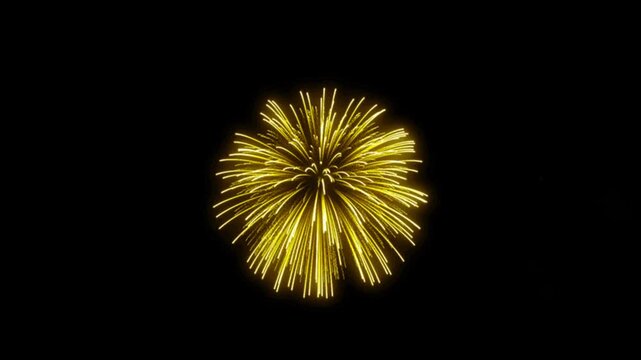 Realistic yellow firework exploded with black background.