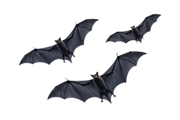 Four black bats with extended wings flying in different directions through sky, isolated on a transparent background