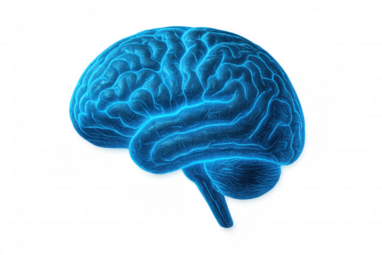 Luminous blue brain network revealing intricate neural pathways, highlighting cognitive complexity against transparent backdrop