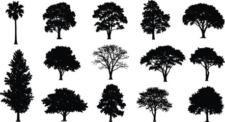 Tree silhouettes collection, various tree types, forest elements, botanical illustration, nature icons, tree shapes bundle, isolated trees, diverse foliage, landscape design, black tree graphics