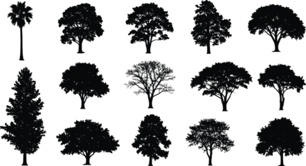 Fototapete Schwarz Tree silhouettes collection, various tree types, forest elements, botanical illustration, nature icons, tree shapes bundle, isolated trees, diverse foliage, landscape design, black tree graphics  © Shammi's World