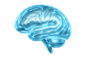 Translucent brain illuminating with electric blue glow, representing cognitive processes, neural networks, and intellectual potential against clean backdrop