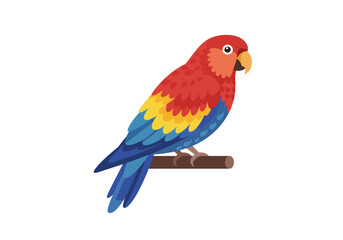 Obraz premium A vibrant parrot perches on a branch displaying red yellow and blue plumage against a white background
