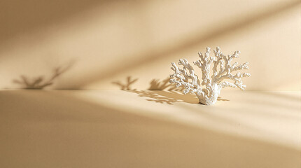 White Coral Shadow Minimalist Still Life