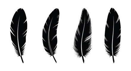 Four Black Feathers Isolated on a White Background in Silhouette Style