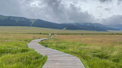 Wooden Pathway Winding Through a Lush Green Meadow with Distant Mountains