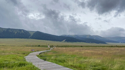 Wooden Pathway Leading Through a Vast Grassland with Distant Mountains Under Cloudy Skies