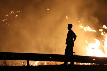  Citizens are trying to help the authorities by intervening in the forest fires that break out from...
