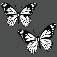 butterflies. butterflies black silhouettes. butterflies clipart fashionable. set of butterflies black butterfly. Butterflies silhouette black background on white Background. Flying butterflies.
