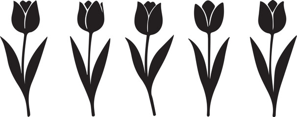 Beautiful Tulip Set Collection