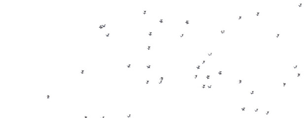 XMAS Holiday golden decoration, glitter frame isolated -