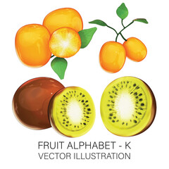 Fruit Alphabet K - Kiwis and Kumquats 3D Vector on White Background
