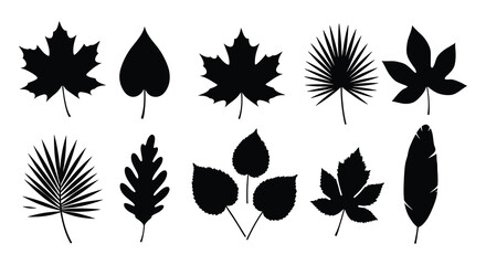 Collection of various leaf silhouettes on a white background