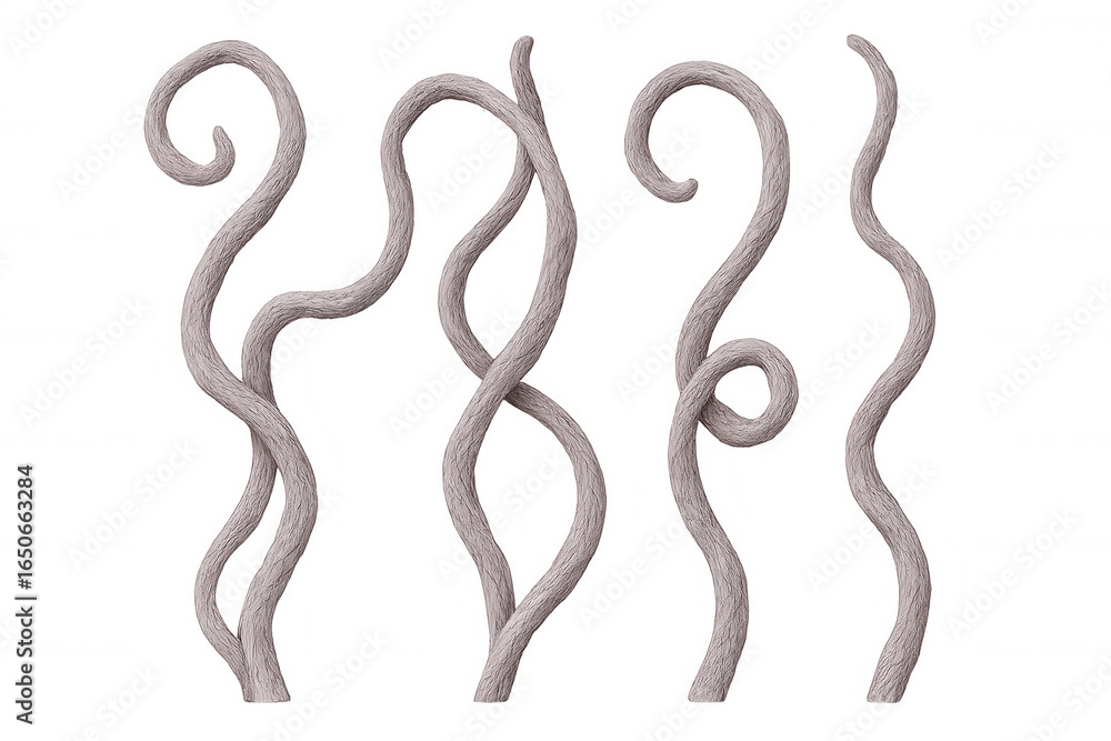 Poster four furry strands curling and twisting on transparent background, creating a whimsical and playful 