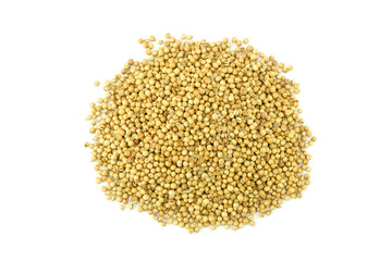 Top view group of dried coriander seeds isolated on white background flat lay stack. Pale white and pale brown in colors, have aroma essential oil, used as a spice. Herb and spice concept.