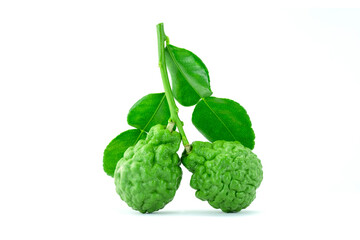 Fototapeta premium Fresh Kaffir lime or Citrus Bergamot fruit with green leaves (both dorsal side and ventral side) isolated on white background close up stack