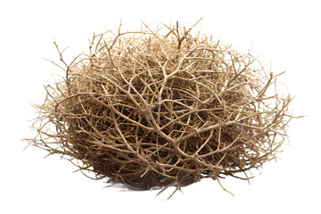 Fototapeta premium Tumbleweed – Isolated on White Background – PNG – GENERATIVE AI