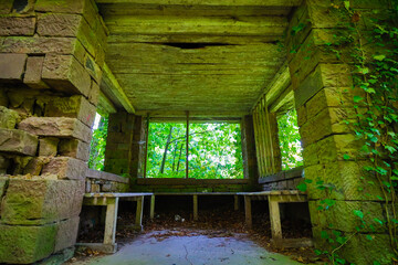 abandoned house in the woods