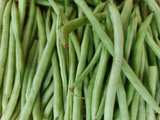 Close-up reveals fresh green beans piled high, creating a natural, vibrant, and healthy texture.