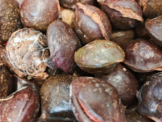 A close-up captures a pile of glistening, dark brown jengkol beans with textured skin details.